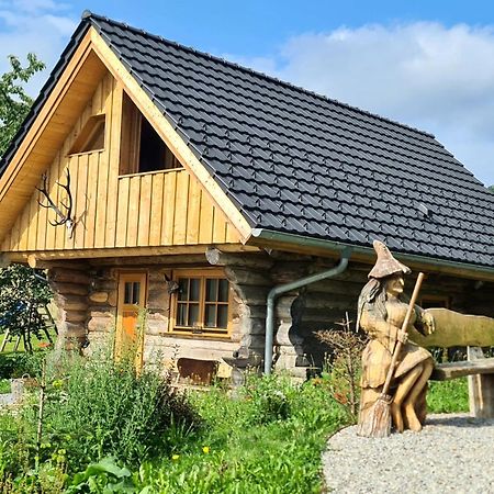 Blockhaus Panhuette Villa Braunlage Ngoại thất bức ảnh