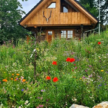 Blockhaus Panhuette Villa Braunlage Ngoại thất bức ảnh
