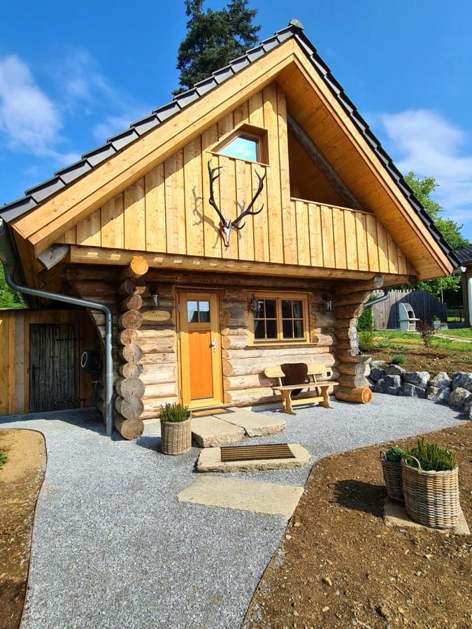Blockhaus Panhuette Villa Braunlage Ngoại thất bức ảnh