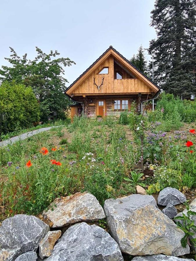 Blockhaus Panhuette Villa Braunlage Ngoại thất bức ảnh