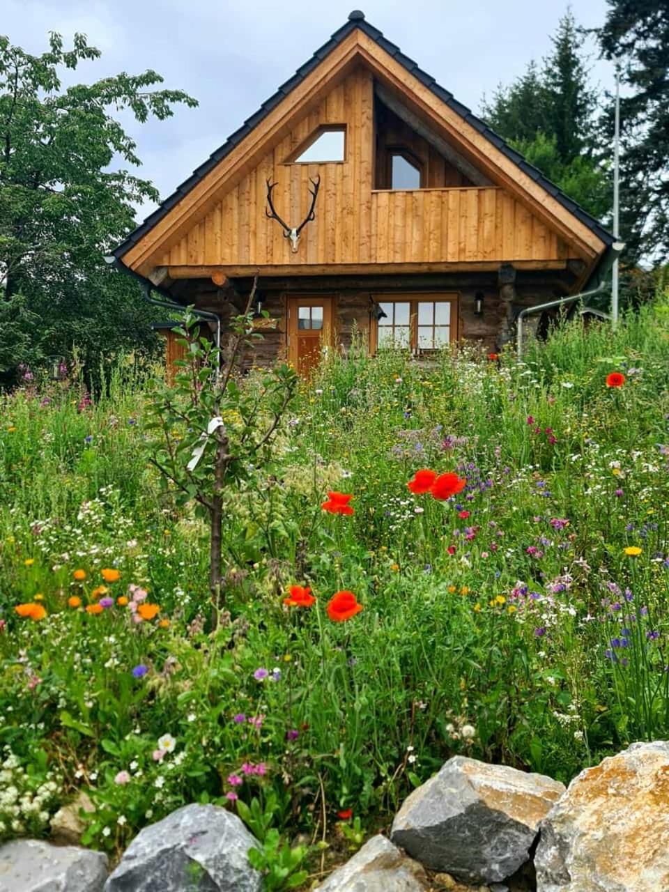 Blockhaus Panhuette Villa Braunlage Ngoại thất bức ảnh