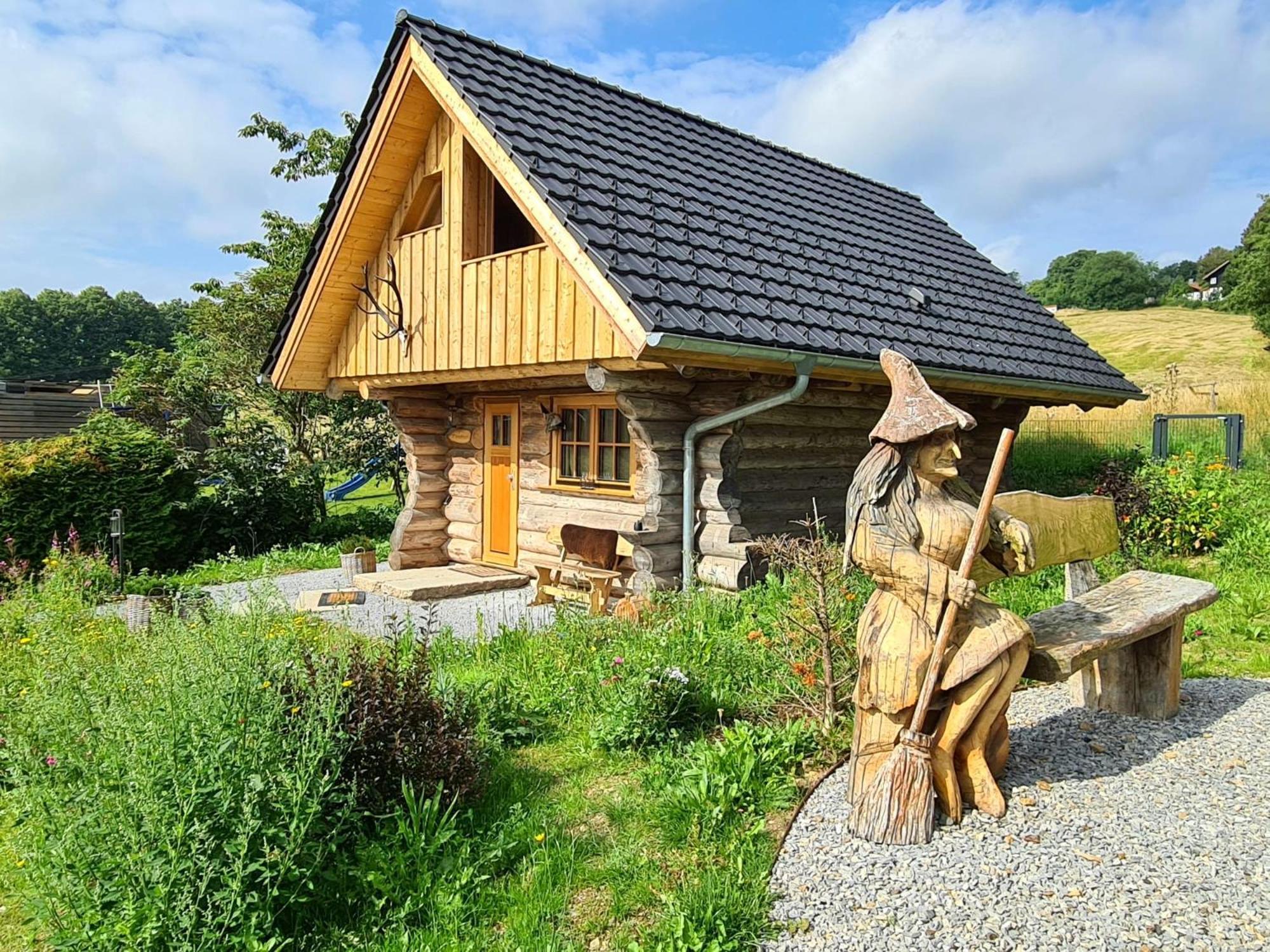 Blockhaus Panhuette Villa Braunlage Ngoại thất bức ảnh